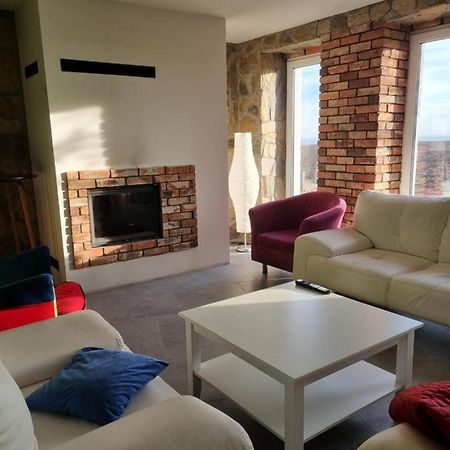 Mlynska 8 Opole-Gorki Villa Екстериор снимка