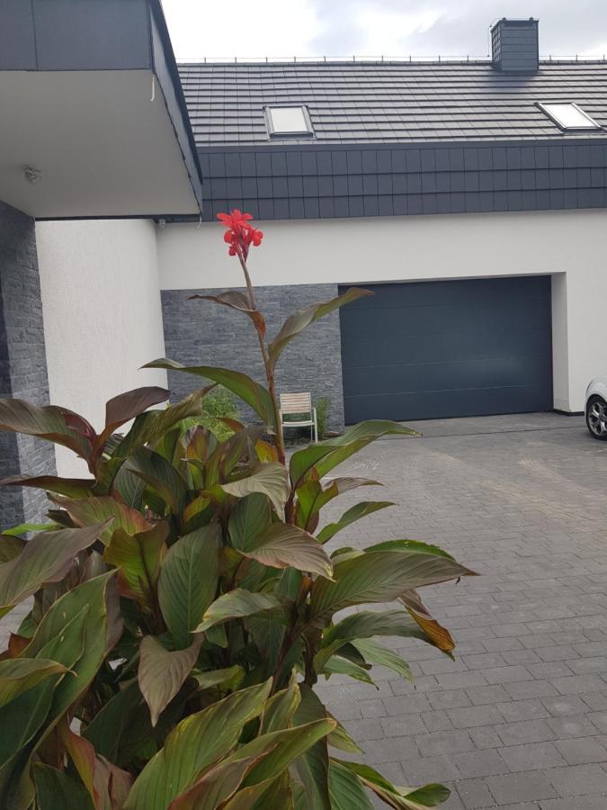 Mlynska 8 Opole-Gorki Villa Екстериор снимка