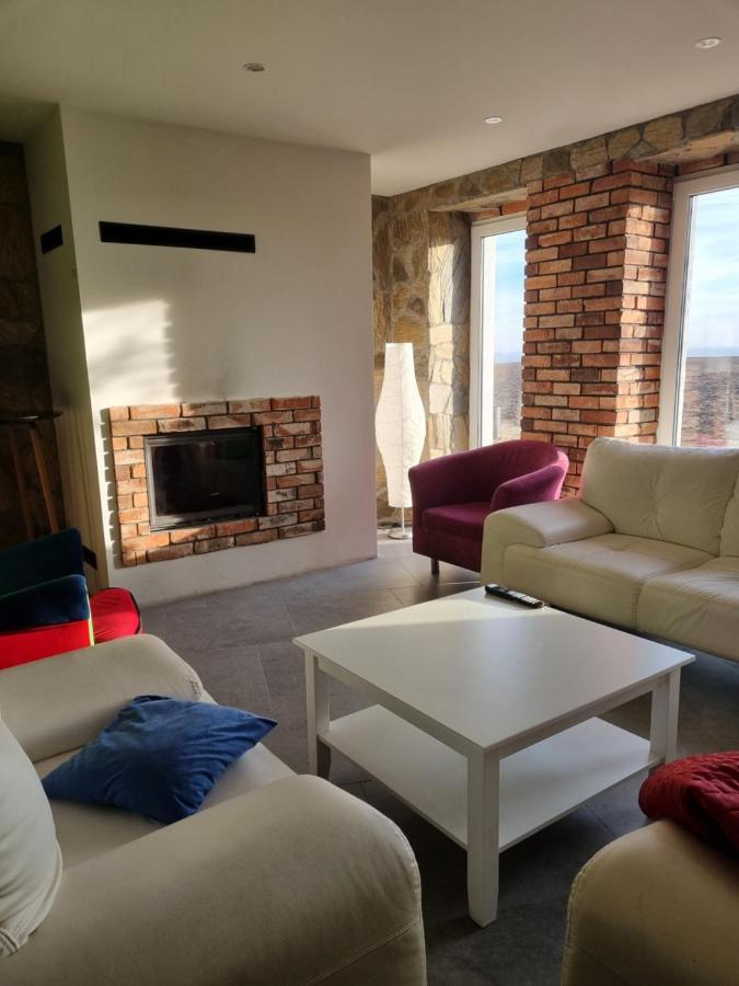 Mlynska 8 Opole-Gorki Villa Екстериор снимка